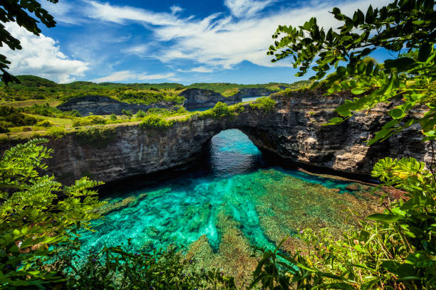 Fondants Bali